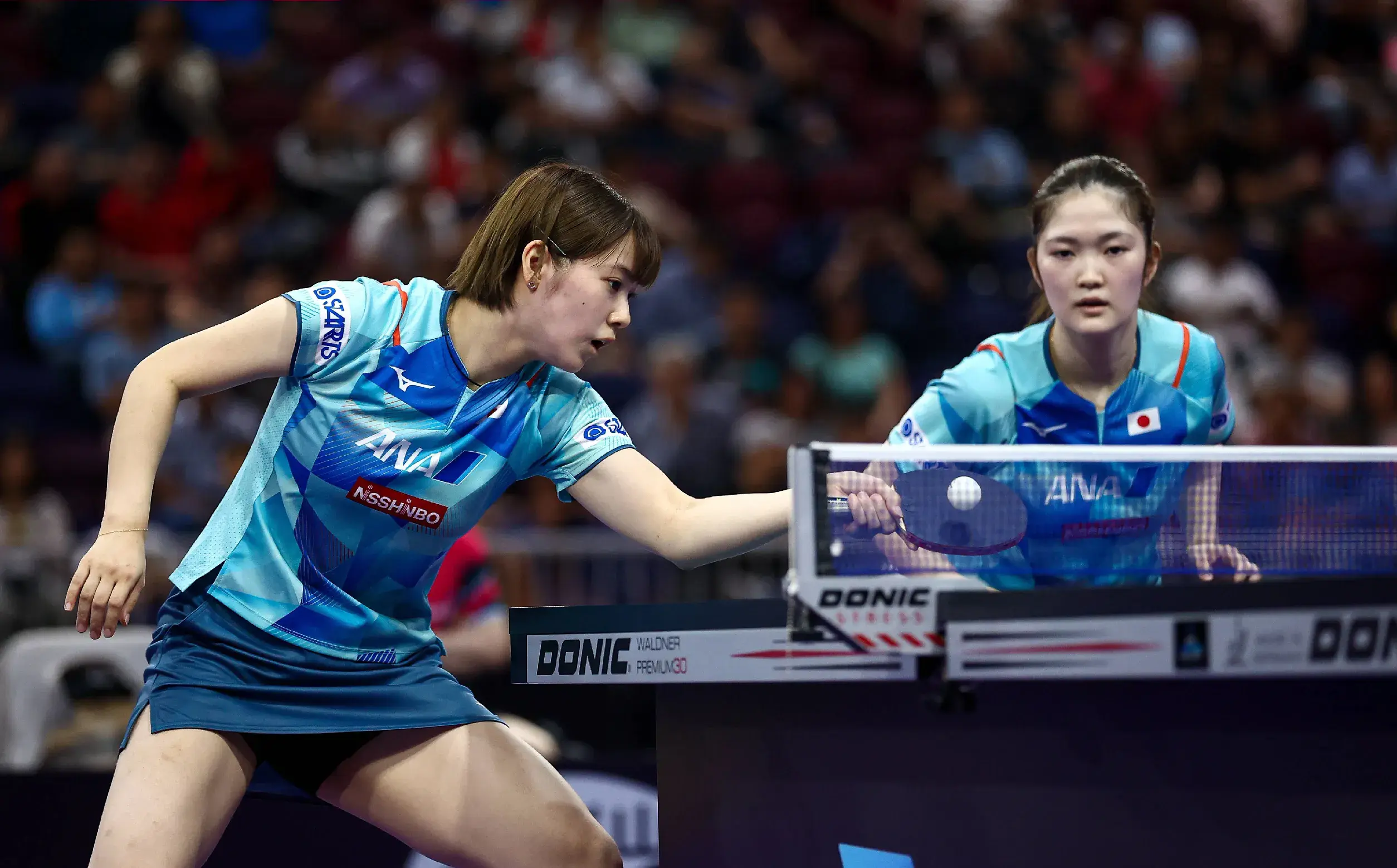 于长崎美柚, 这次采取正, 王曼昱没有 于长崎美柚, 这次采取正, 王曼昱没有