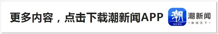 手阿尔弗雷, 正式公布了 手阿尔弗雷, 正式公布了