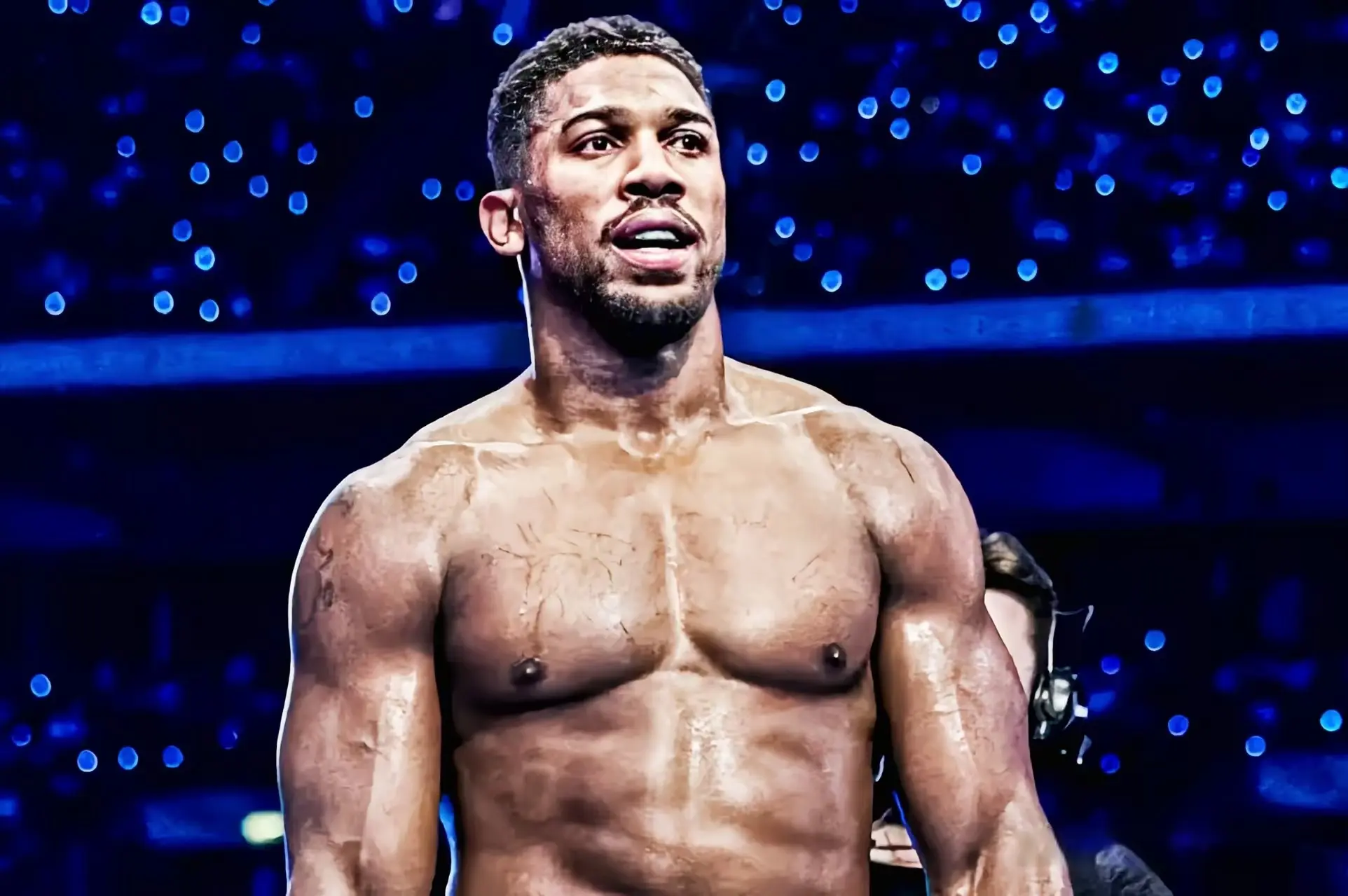 手尚未确认, entit 手尚未确认, entit