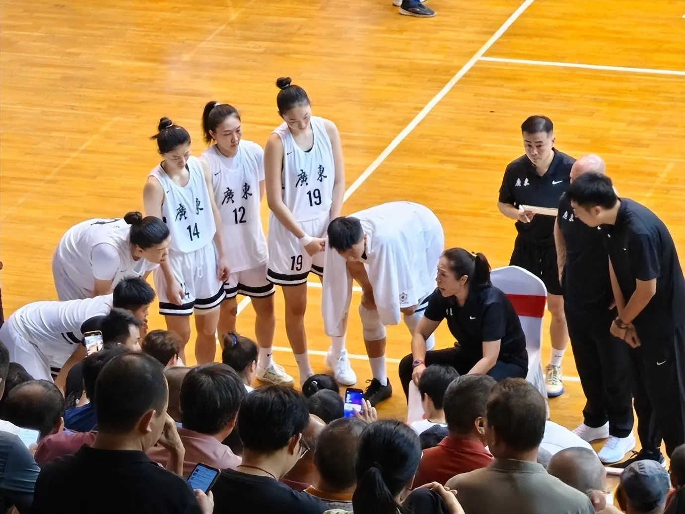 广东全运女, msn