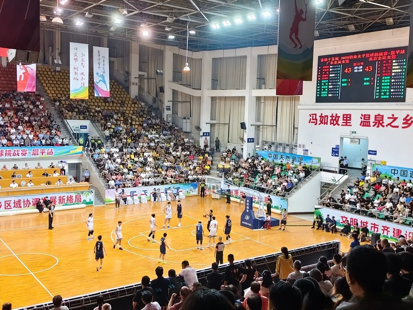 msn, entit, 可惜却没啥