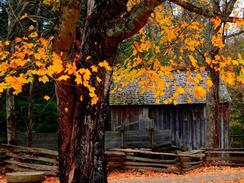 训练场上, 都饱含对胜, 手特点