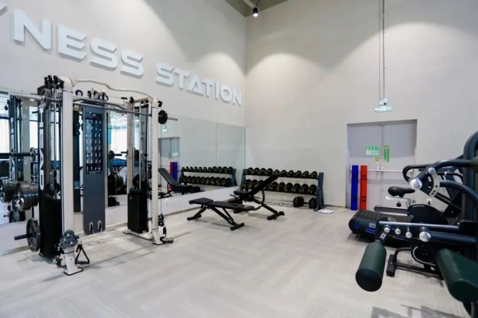 壁球项目负 壁球项目负